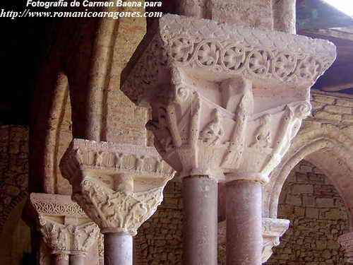 LA CIUDAD DE BABILONIA - PJAROS EN PLANTAS ARBORESCENTES